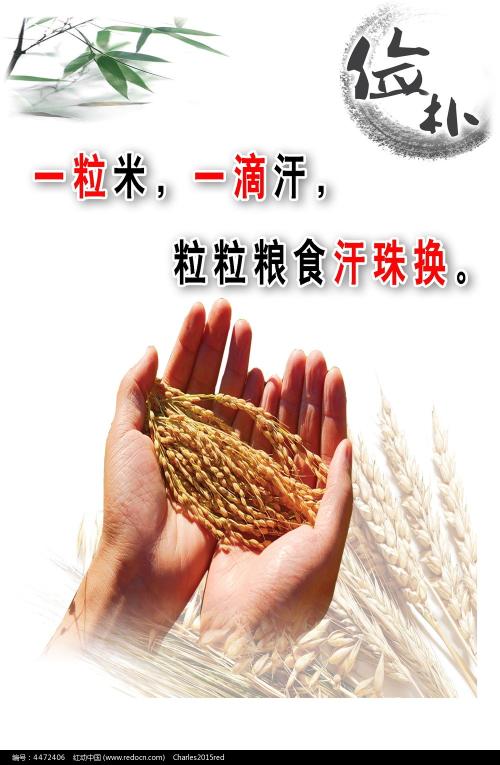 代办仿真建设银行流水账单样子/图片